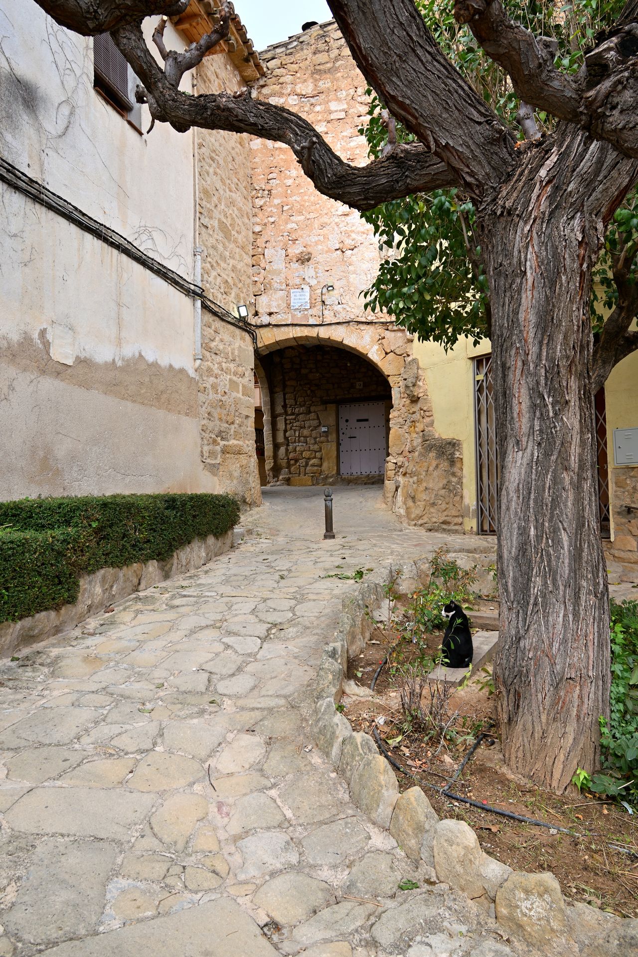 Portal del Horno Medieval