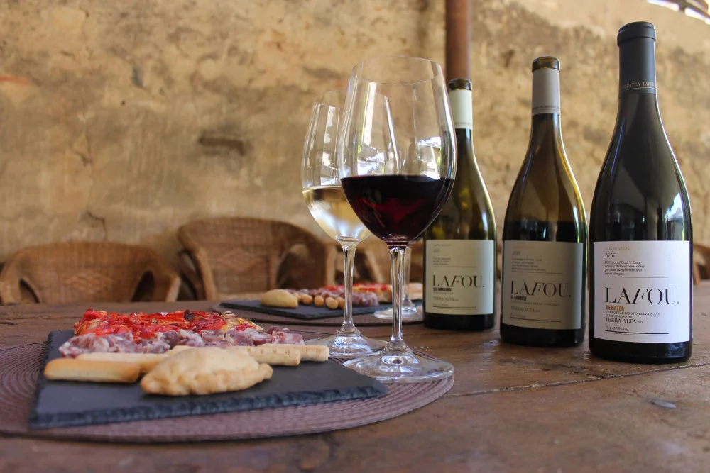 Cata maridaje: Vino DO Terra Alta + Aceite DOP Bajo Aragón